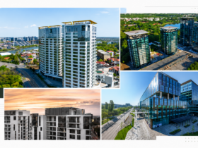 Apartamente de lux